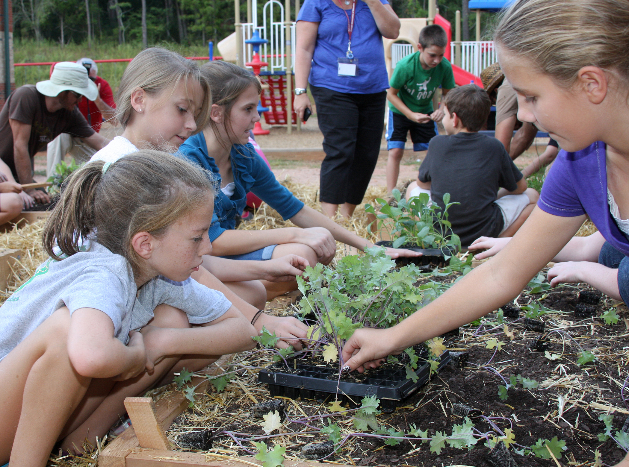 Students learning outdoors near a green school garden