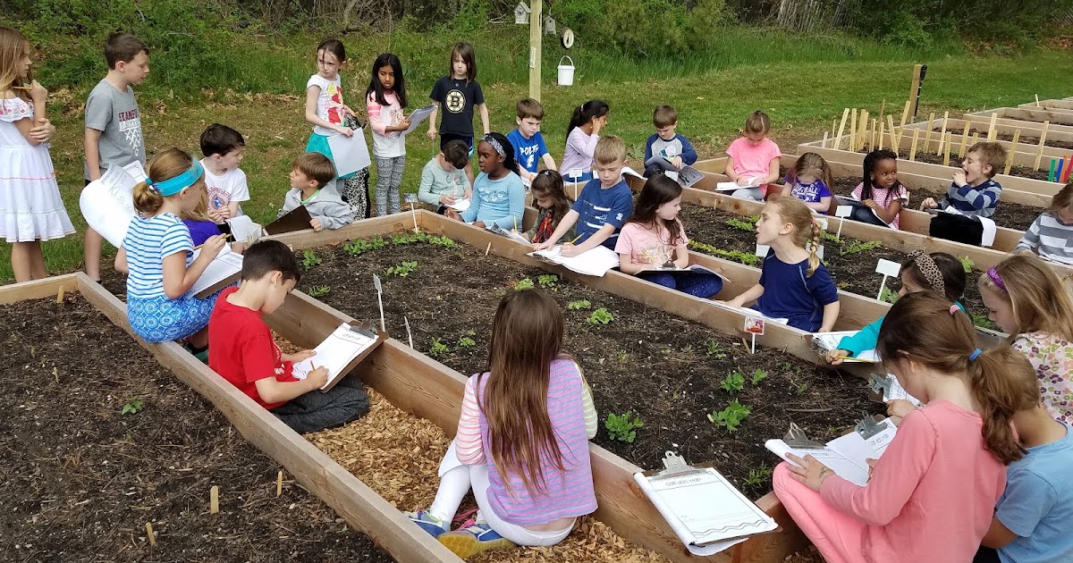 School garden with students learning outdoors