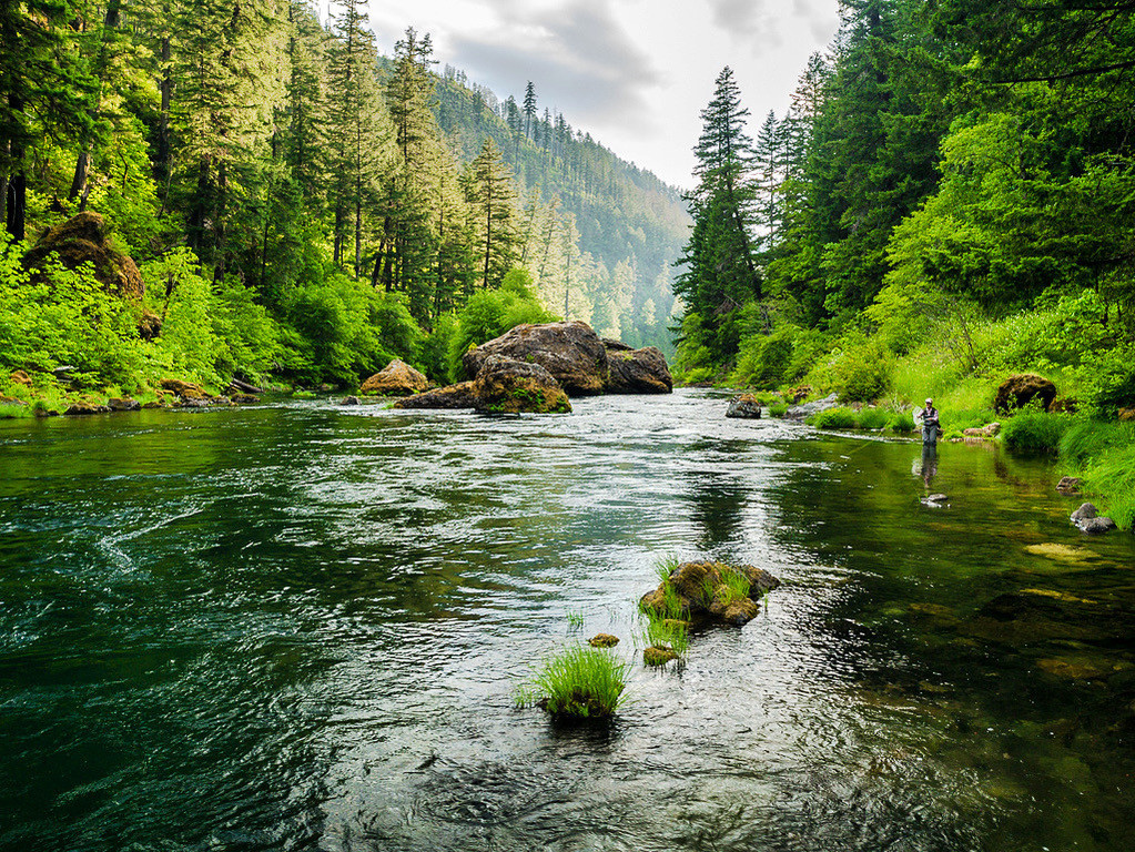 River flowing through a protected green area